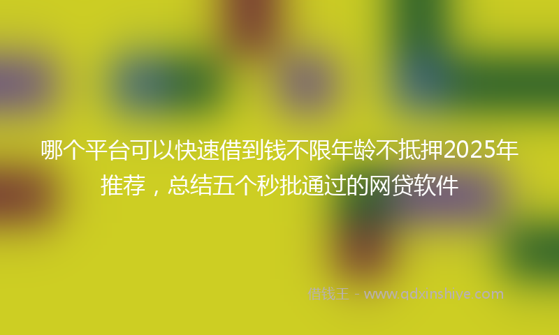哪个平台可以快速借到钱不限年龄不抵押2025年推荐，总结五个秒批通过的网贷软件
