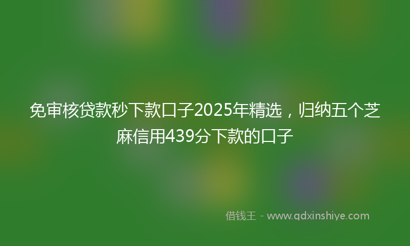 免审核贷款秒下款口子2025年精选，归纳五个芝麻信用439分下款的口子