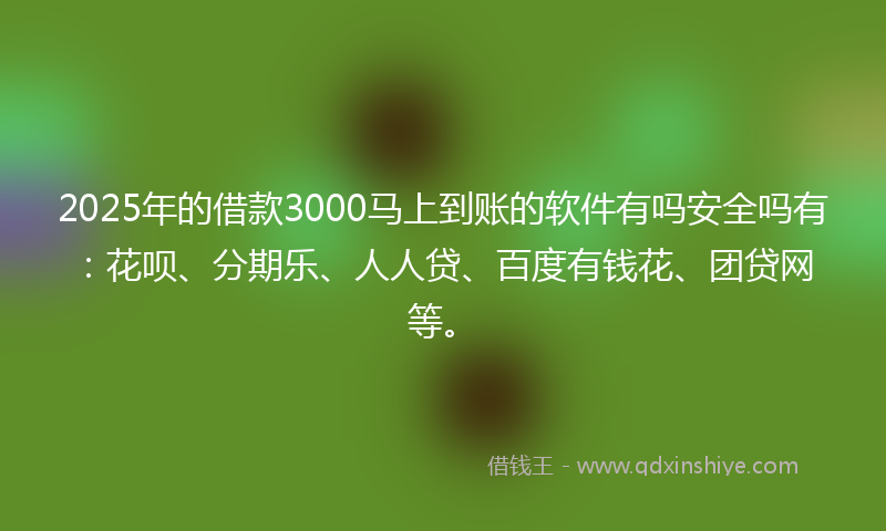 2025年的借款3000马上到账的软件有吗安全吗有：花呗、分期乐、人人贷、百度有钱花、团贷网等。