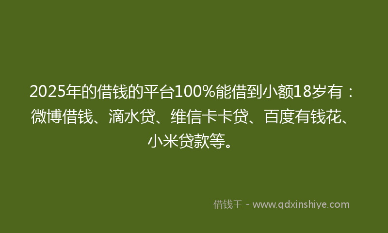 2025年的借钱的平台100%能借到小额18岁有：微博借钱、滴水贷、维信卡卡贷、百度有钱花、小米贷款等。