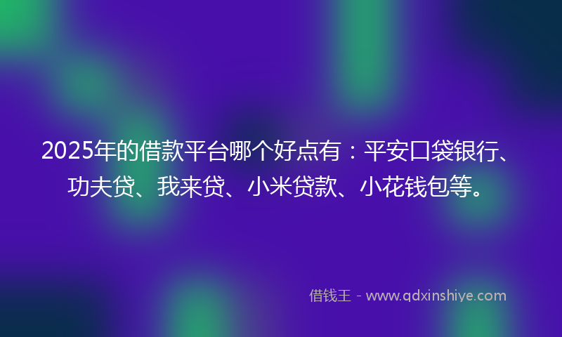 2025年的借款平台哪个好点有：平安口袋银行、功夫贷、我来贷、小米贷款、小花钱包等。
