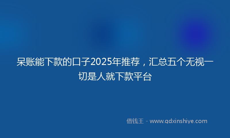 呆账能下款的口子2025年推荐，汇总五个无视一切是人就下款平台