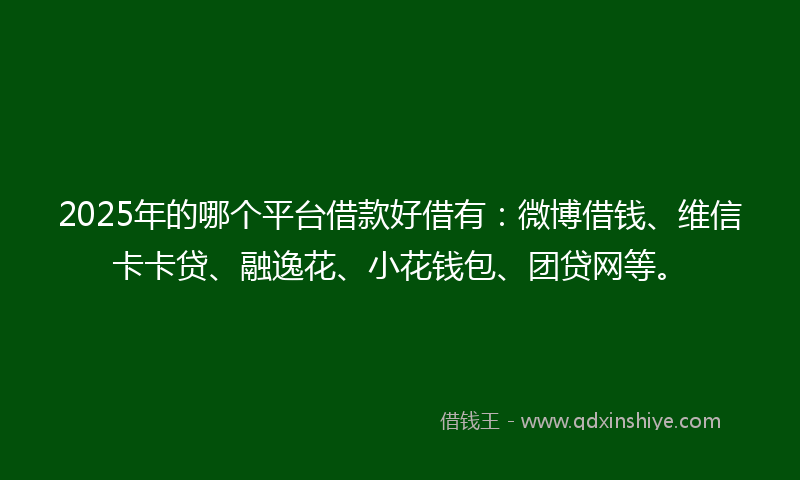 2025年的哪个平台借款好借有：微博借钱、维信卡卡贷、融逸花、小花钱包、团贷网等。