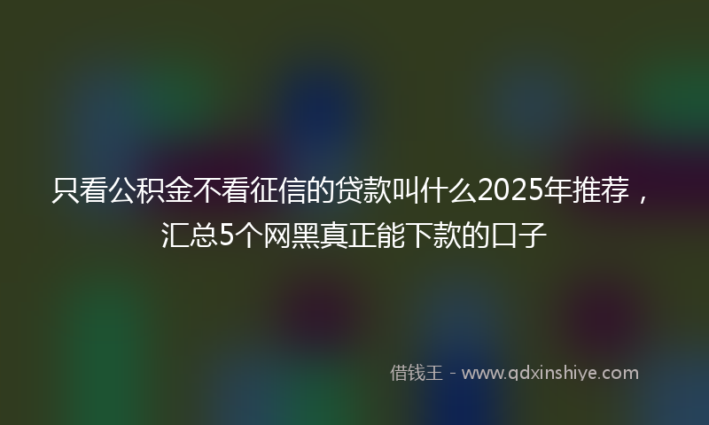 只看公积金不看征信的贷款叫什么2025年推荐，汇总5个网黑真正能下款的口子