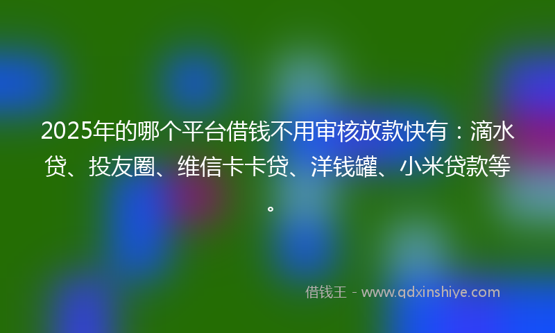 2025年的哪个平台借钱不用审核放款快有：滴水贷、投友圈、维信卡卡贷、洋钱罐、小米贷款等。