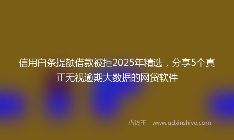 信用白条提额借款被拒2025年精选，分享5个真正无视逾期大数据的网贷软件