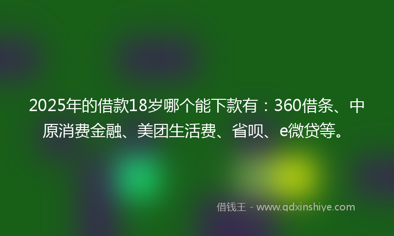 2025年的借款18岁哪个能下款有：360借条、中原消费金融、美团生活费、省呗、e微贷等。
