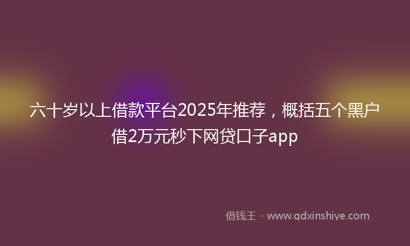 六十岁以上借款平台2025年推荐，概括五个黑户借2万元秒下网贷口子app