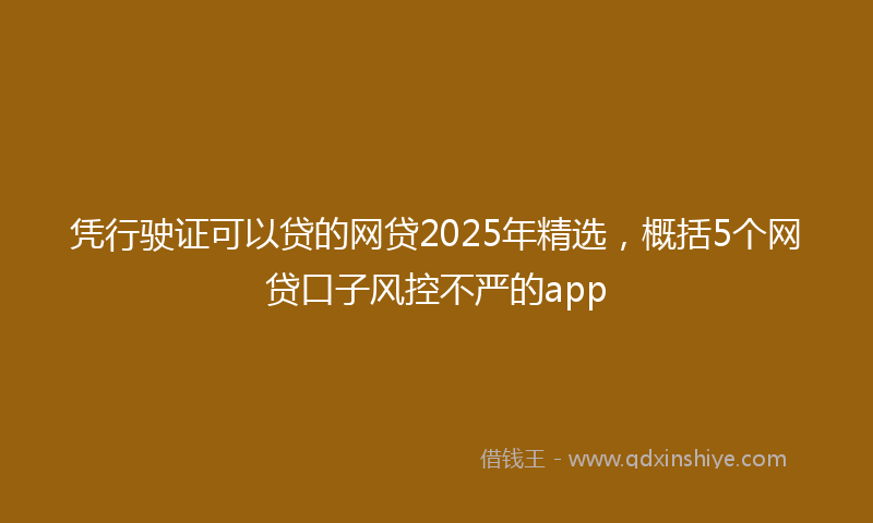 凭行驶证可以贷的网贷2025年精选，概括5个网贷口子风控不严的app
