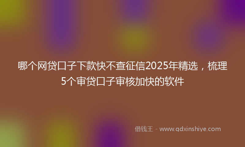 哪个网贷口子下款快不查征信2025年精选，梳理5个审贷口子审核加快的软件
