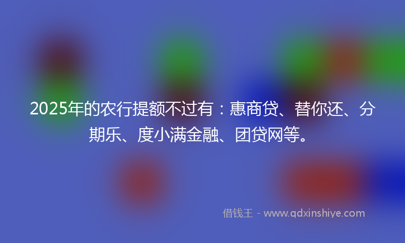 2025年的农行提额不过有：惠商贷、替你还、分期乐、度小满金融、团贷网等。