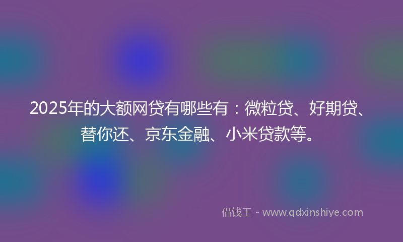 2025年的大额网贷有哪些有：微粒贷、好期贷、替你还、京东金融、小米贷款等。