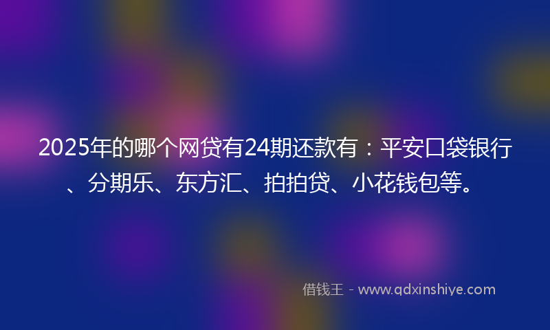 2025年的哪个网贷有24期还款有：平安口袋银行、分期乐、东方汇、拍拍贷、小花钱包等。