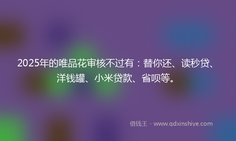 2025年的唯品花审核不过有：替你还、读秒贷、洋钱罐、小米贷款、省呗等。
