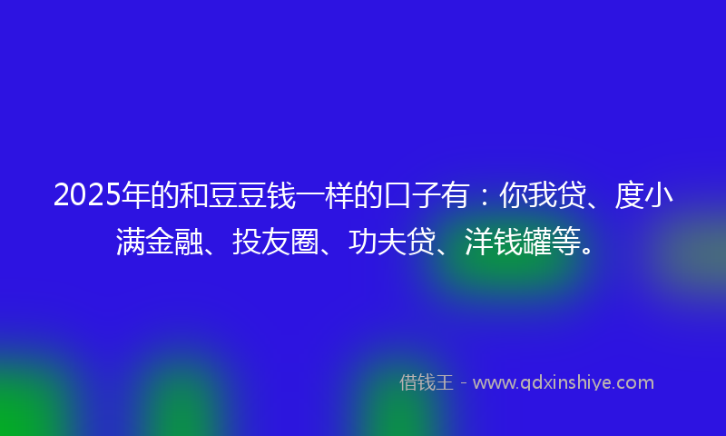 2025年的和豆豆钱一样的口子有：你我贷、度小满金融、投友圈、功夫贷、洋钱罐等。