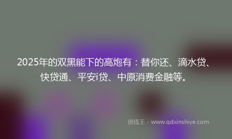2025年的双黑能下的高炮有：替你还、滴水贷、快贷通、平安i贷、中原消费金融等。