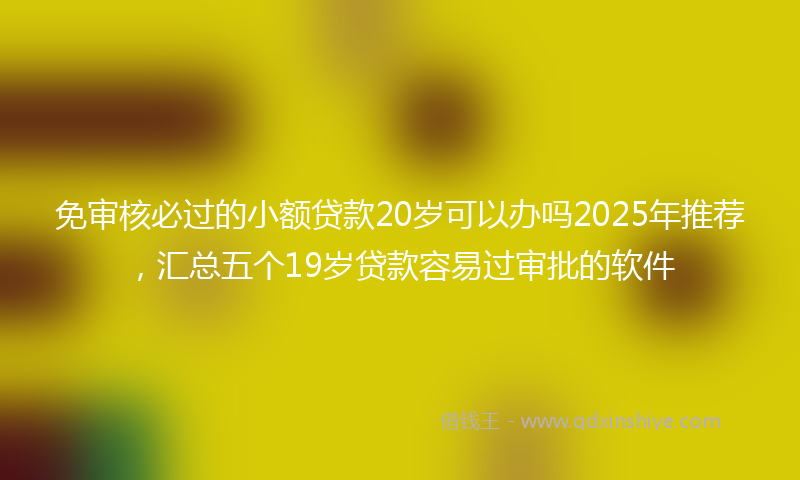免审核必过的小额贷款20岁可以办吗2025年推荐，汇总五个19岁贷款容易过审批的软件