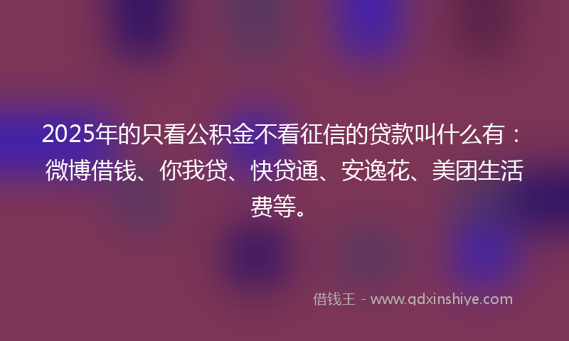 2025年的只看公积金不看征信的贷款叫什么有：微博借钱、你我贷、快贷通、安逸花、美团生活费等。