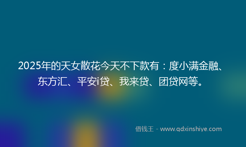 2025年的天女散花今天不下款有：度小满金融、东方汇、平安i贷、我来贷、团贷网等。