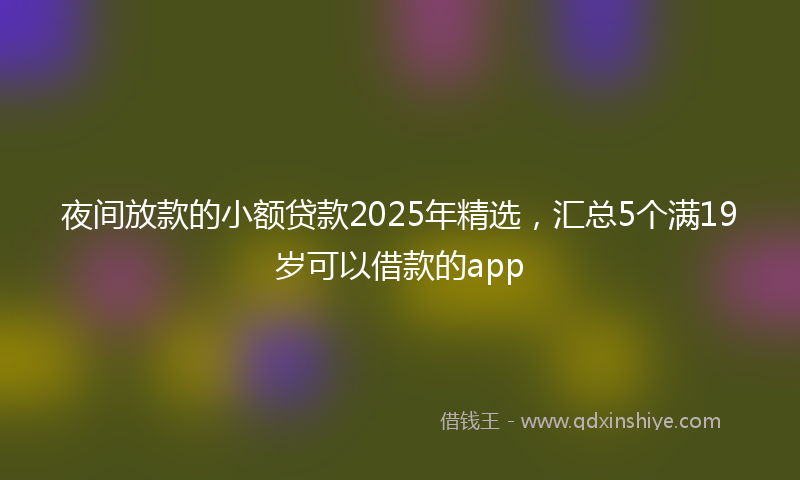 夜间放款的小额贷款2025年精选，汇总5个满19岁可以借款的app