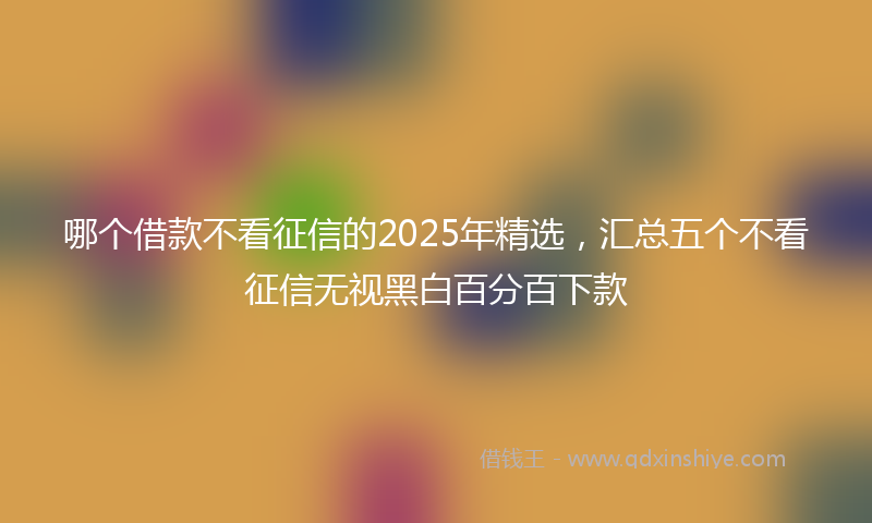 哪个借款不看征信的2025年精选，汇总五个不看征信无视黑白百分百下款