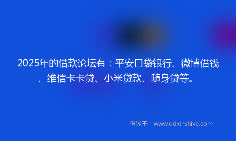 2025年的借款论坛有：平安口袋银行、微博借钱、维信卡卡贷、小米贷款、随身贷等。