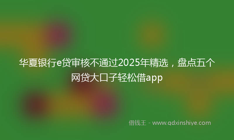 华夏银行e贷审核不通过2025年精选，盘点五个网贷大口子轻松借app