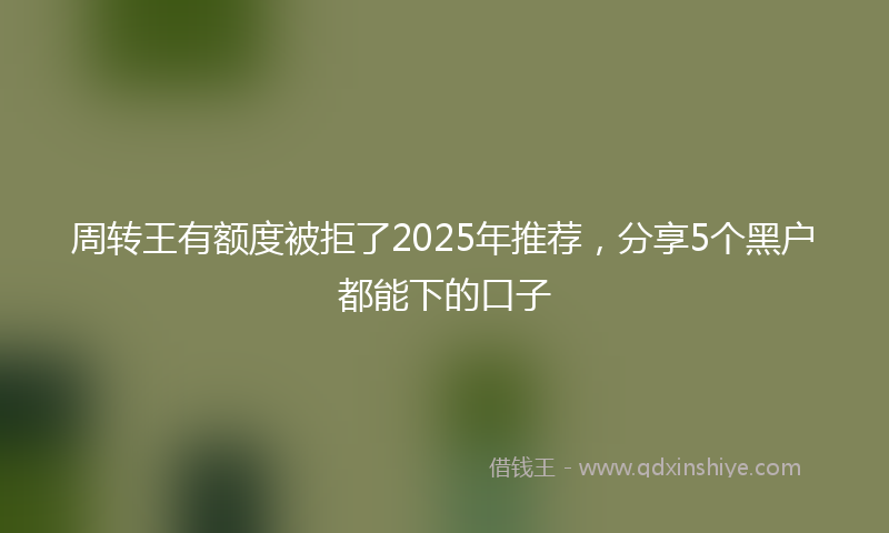 周转王有额度被拒了2025年推荐，分享5个黑户都能下的口子