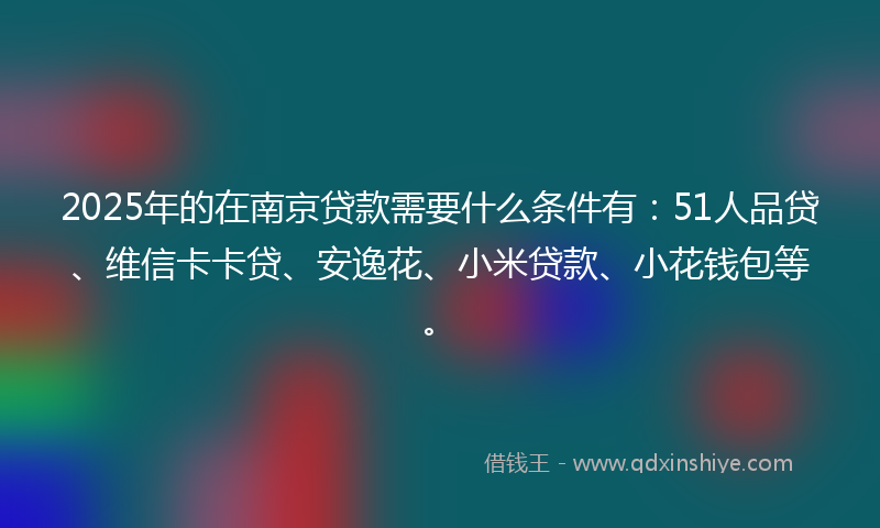 2025年的在南京贷款需要什么条件有：51人品贷、维信卡卡贷、安逸花、小米贷款、小花钱包等。