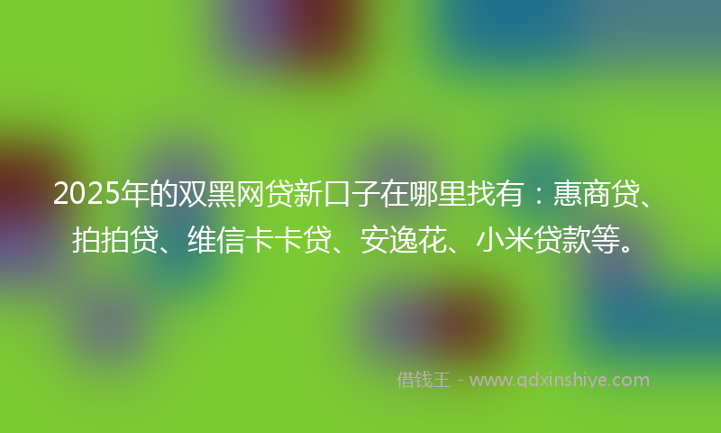 2025年的双黑网贷新口子在哪里找有：惠商贷、拍拍贷、维信卡卡贷、安逸花、小米贷款等。