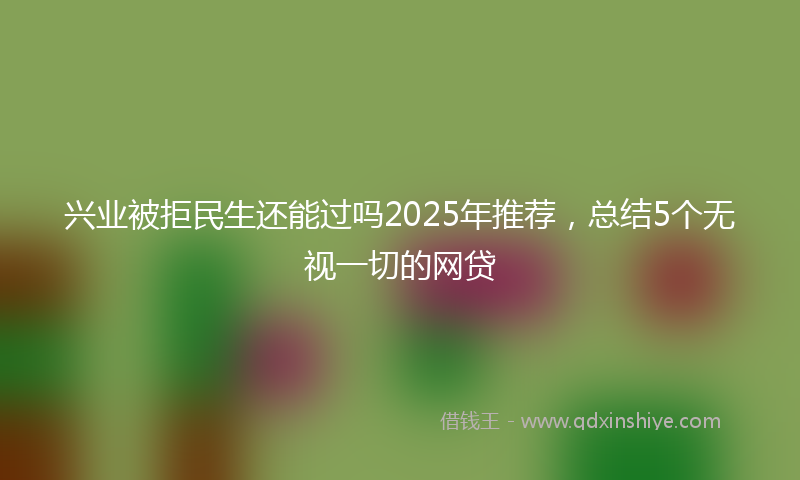 兴业被拒民生还能过吗2025年推荐，总结5个无视一切的网贷