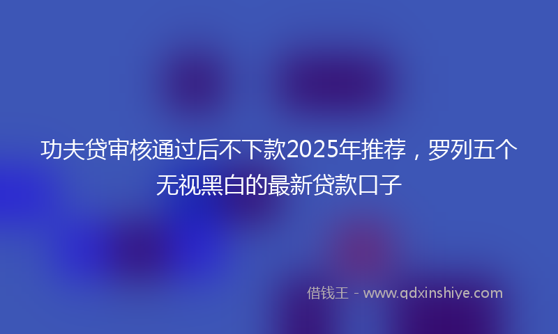 功夫贷审核通过后不下款2025年推荐，罗列五个无视黑白的最新贷款口子