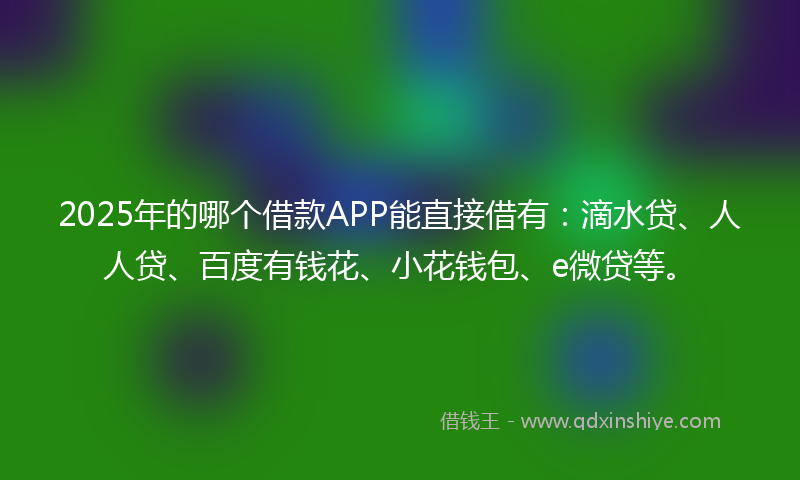 2025年的哪个借款APP能直接借有：滴水贷、人人贷、百度有钱花、小花钱包、e微贷等。