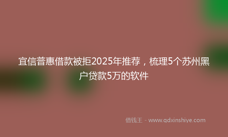 宜信普惠借款被拒2025年推荐，梳理5个苏州黑户贷款5万的软件