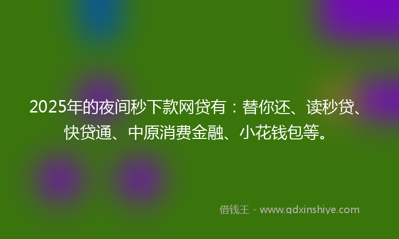 2025年的夜间秒下款网贷有：替你还、读秒贷、快贷通、中原消费金融、小花钱包等。