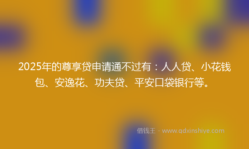 2025年的尊享贷申请通不过有：人人贷、小花钱包、安逸花、功夫贷、平安口袋银行等。