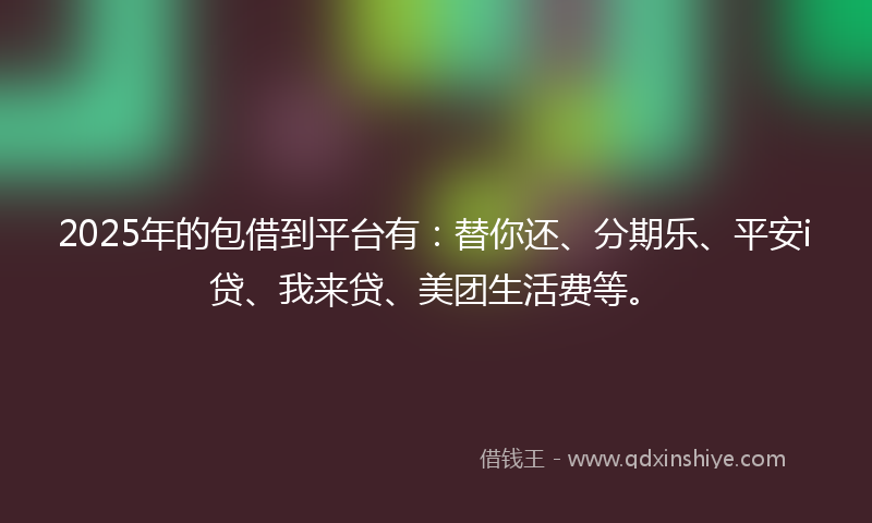 2025年的包借到平台有：替你还、分期乐、平安i贷、我来贷、美团生活费等。