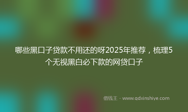 哪些黑口子贷款不用还的呀2025年推荐，梳理5个无视黑白必下款的网贷口子