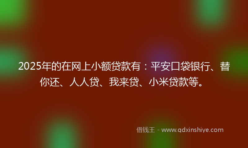 2025年的在网上小额贷款有：平安口袋银行、替你还、人人贷、我来贷、小米贷款等。