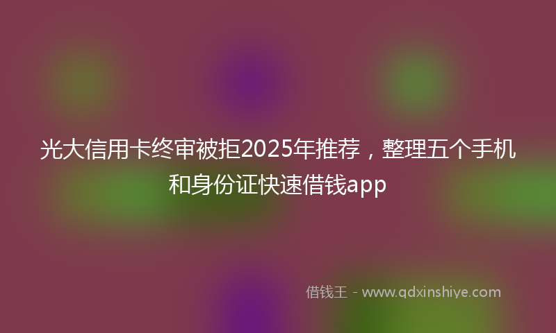 光大信用卡终审被拒2025年推荐，整理五个手机和身份证快速借钱app