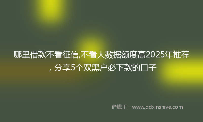 哪里借款不看征信,不看大数据额度高2025年推荐，分享5个双黑户必下款的口子