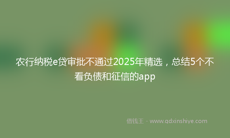 农行纳税e贷审批不通过2025年精选，总结5个不看负债和征信的app