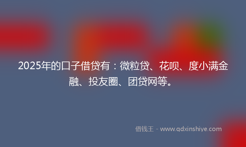 2025年的口子借贷有：微粒贷、花呗、度小满金融、投友圈、团贷网等。