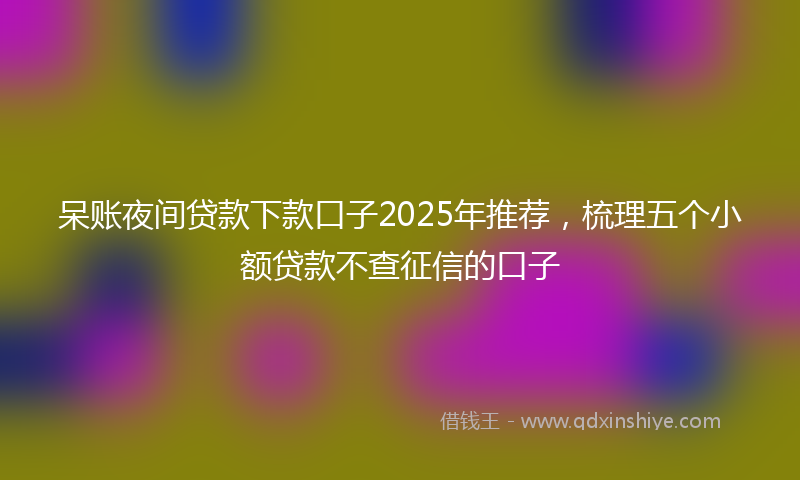 呆账夜间贷款下款口子2025年推荐，梳理五个小额贷款不查征信的口子