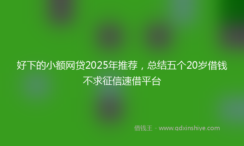 好下的小额网贷2025年推荐，总结五个20岁借钱不求征信速借平台
