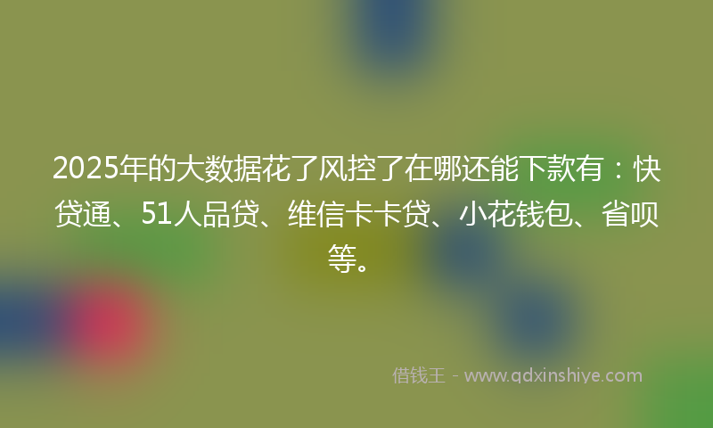 2025年的大数据花了风控了在哪还能下款有：快贷通、51人品贷、维信卡卡贷、小花钱包、省呗等。