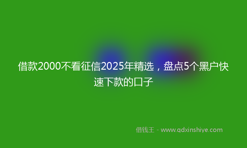 借款2000不看征信2025年精选，盘点5个黑户快速下款的口子