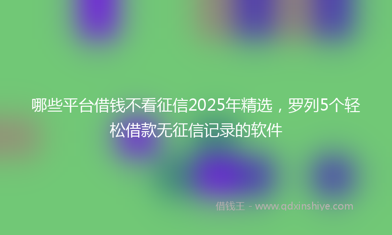 哪些平台借钱不看征信2025年精选，罗列5个轻松借款无征信记录的软件