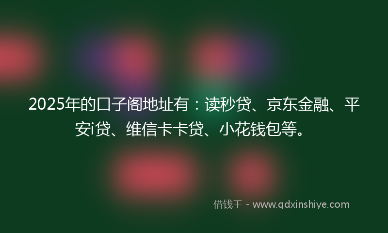 2025年的口子阁地址有：读秒贷、京东金融、平安i贷、维信卡卡贷、小花钱包等。