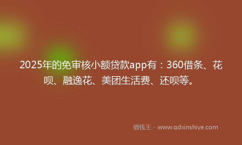 2025年的免审核小额贷款app有：360借条、花呗、融逸花、美团生活费、还呗等。